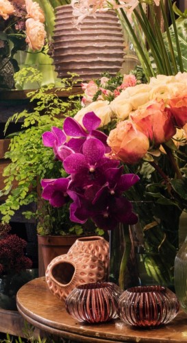 evecasalta-boutique-fleurs-IMG-2161