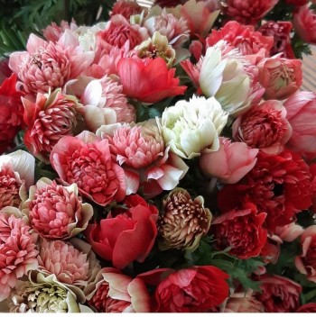 evecasalta-boutique-fleurs-IMG-6413